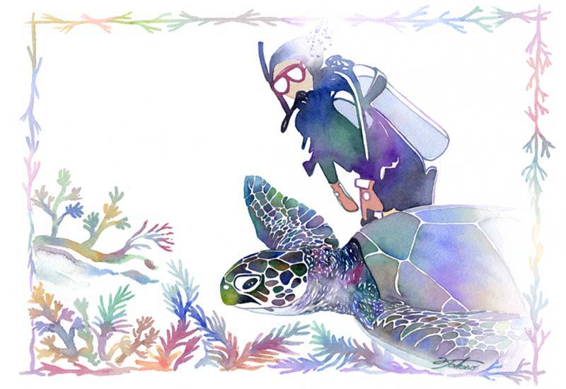 S-13 ダイバー 海亀 手描きイラスト ダイビング 水彩 手書きイラスト